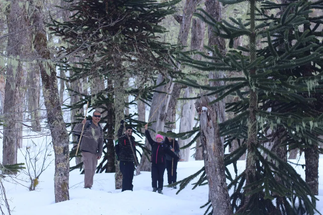 El Cañi Nieve